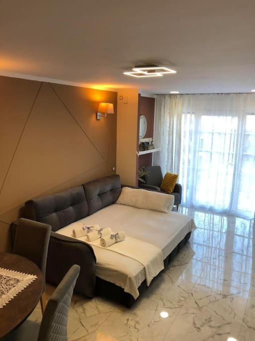 Apartment Unique